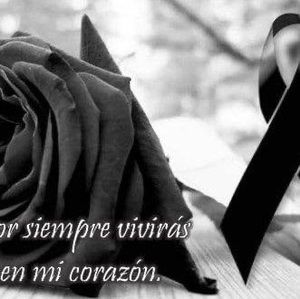 Meet your Posher, Leyda